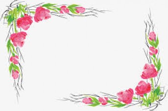 343x228 Pink Flower Vine Vector