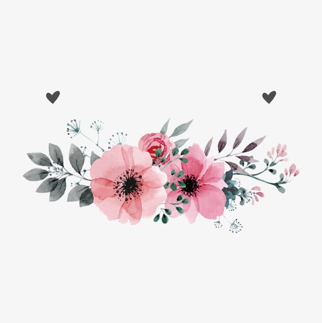 650x651 Pink Flowers,flower,hand Painted Plants,vector Diagram,background
