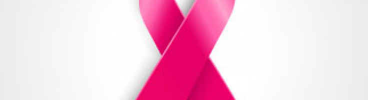 736x200 Object Pink Ribbon Vector
