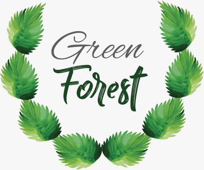 650x543 Loose Leaf Frame, Leaf Vector, Frame Vector, Frame Clipart Png And