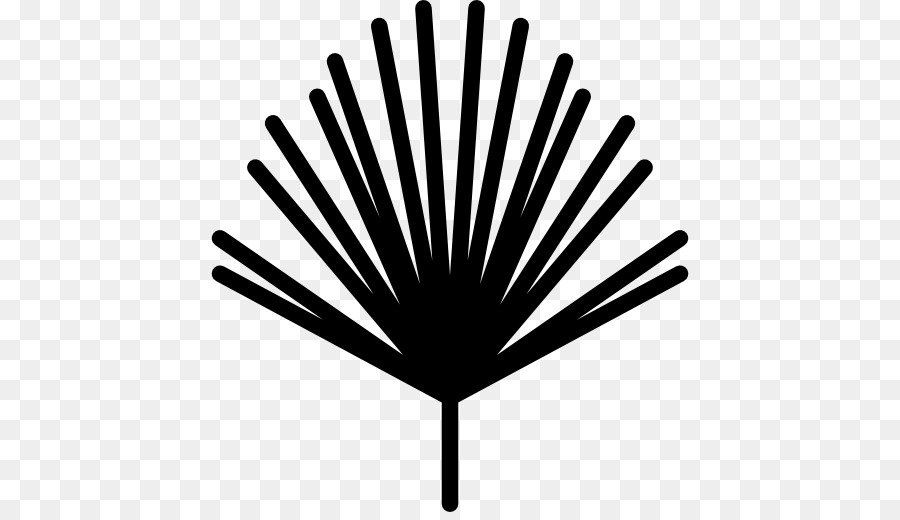 900x520 Pine Tree Computer Icons Nature