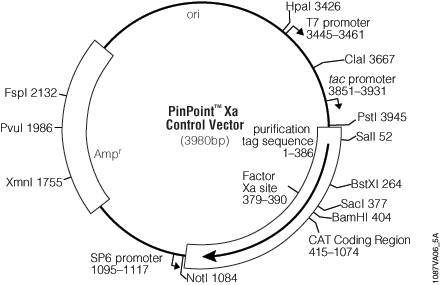 440x285 Discontinued Vectors