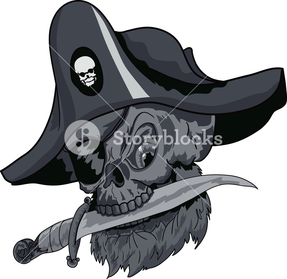 1000x972 Skull Vector Element With Pirate Hat Royalty Free Stock Image