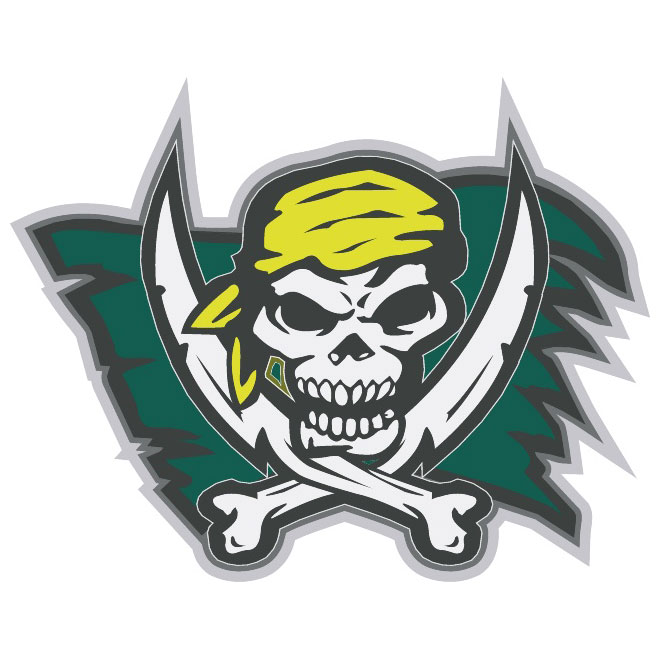 660x660 Pirate Skull Flag Vector Free Vectors Ui Download