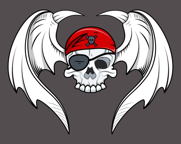 700x557 Flying Pirate Skull