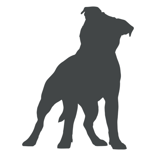512x512 Collection Of Free Vector Dog Pit Bull. Download On Ubisafe
