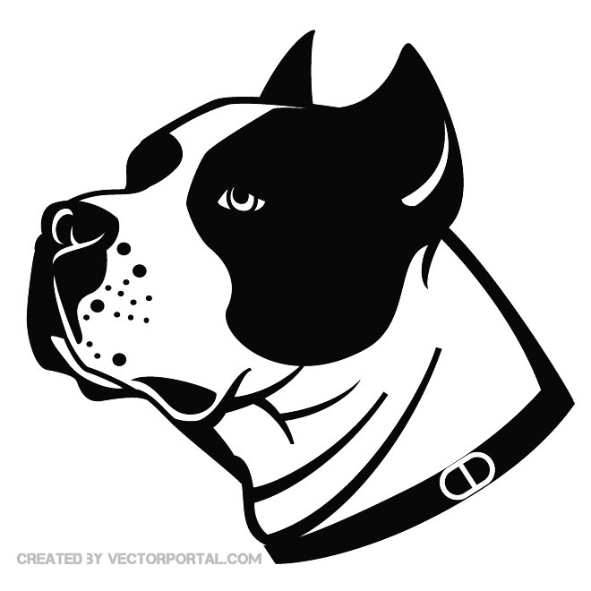 660x660 Free Pitbull Vectors 9 Downloads Found