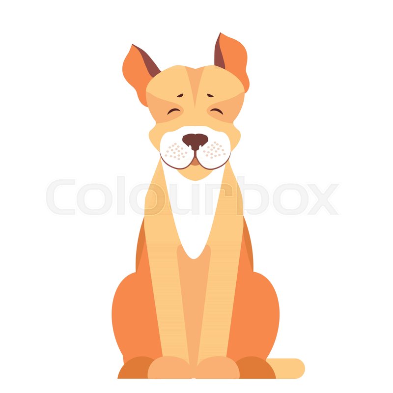 800x800 Happy Cute Pit Bull Sitting With Raised Ears Flat Vector Isolated