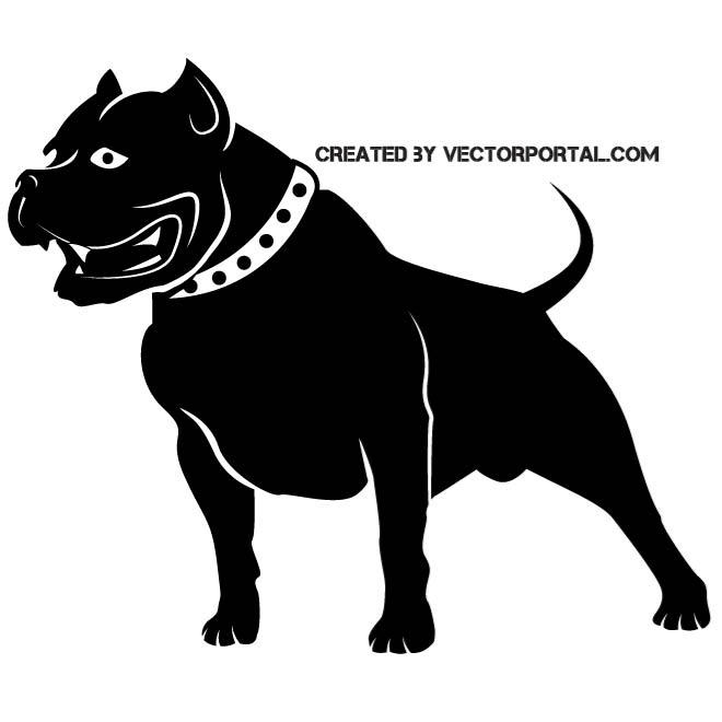 660x660 Pit Bull Dog