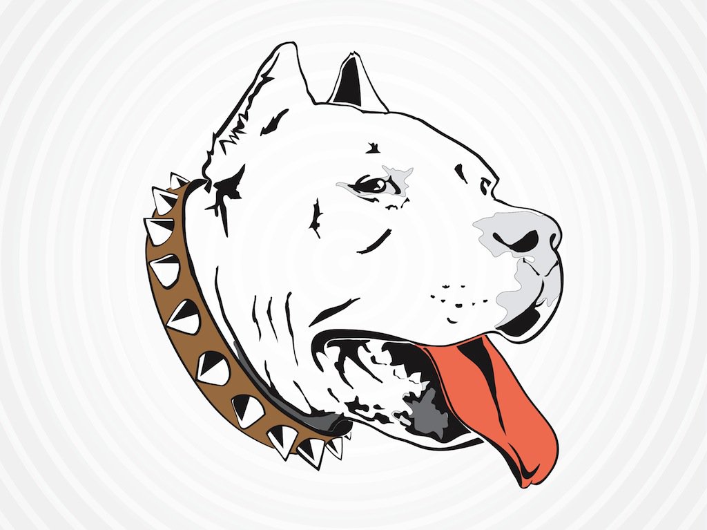 1024x767 Pit Bull Vector Art Amp Graphics