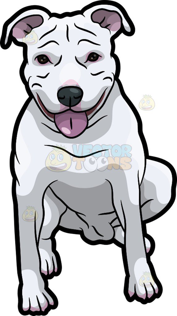 573x1024 A Friendly Pit Bull Dog Clipart By Vector Toons