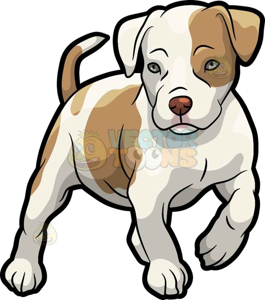 904x1024 A Pit Bull Puppy Clipart By Vector Toons