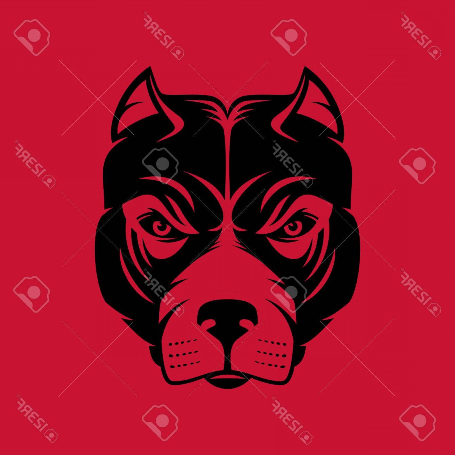 1560x1560 Photostock Vector Pitbull Dog Head Logo Or Icon In One Color Stock