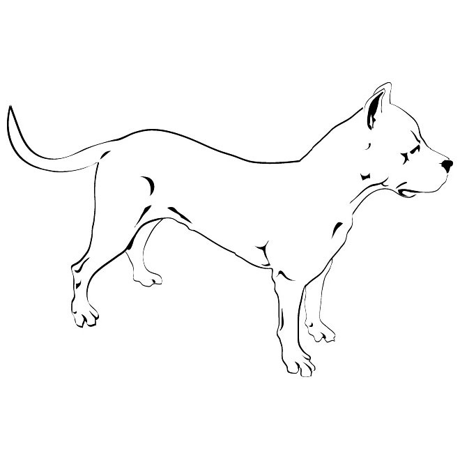 660x660 Pitbull Dog Free Vector 123freevectors