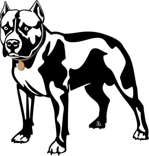 479x500 Collection Of Pitbull Dog Clipart High Quality, Free