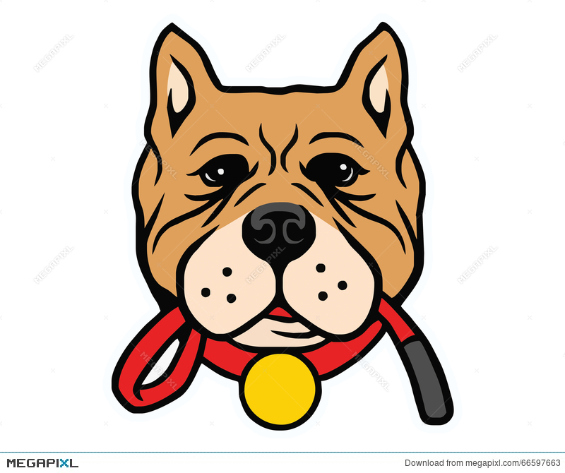 800x670 Pitbull Dog Vector Illustration 66597663