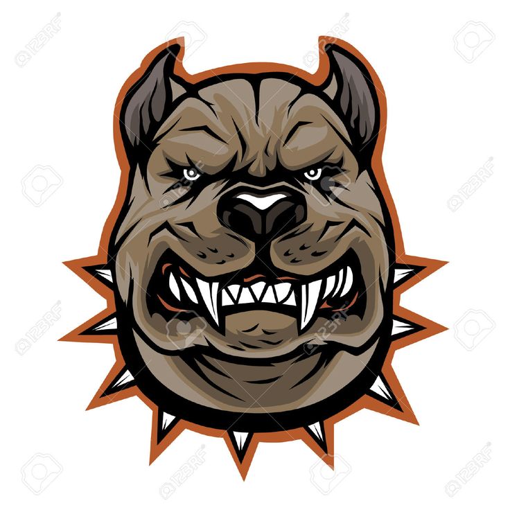 736x736 Pitbull Clipart Aggressive Dog