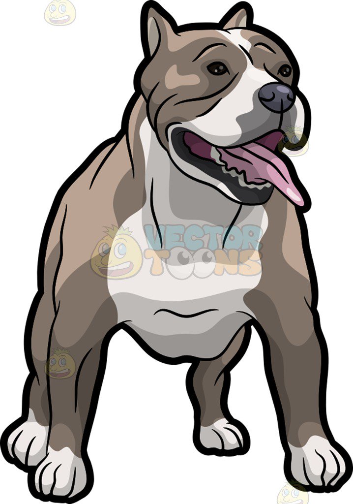 718x1024 A Strong Pit Bull Dog Clipart By Vector Toons