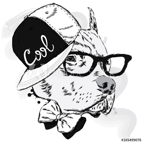 500x500 Pitbull In Cap And Tie. Dog Vector.