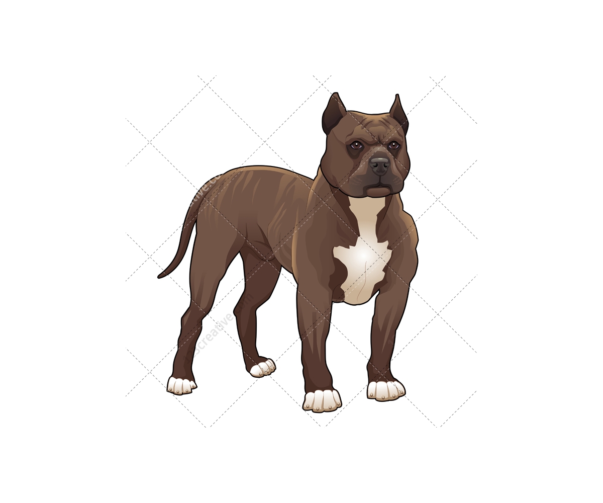 1200x1000 Realistic Dog Vector Pack