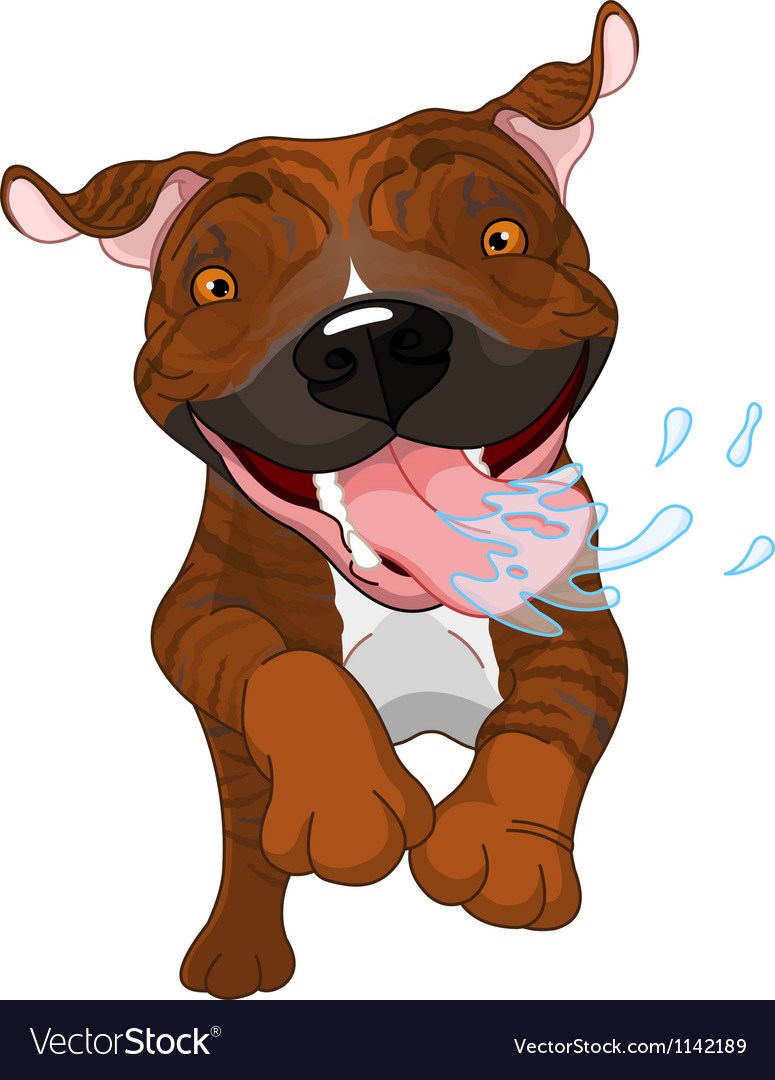 775x1080 Awesome Excited Brindle Pit Bull Dog Vector Image Excited Brindle
