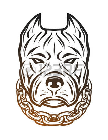 345x450 Collection Of Pit Bull Head Drawing High Quality, Free