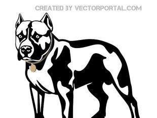 310x233 Pitbull Head Free Vector Free Vectors Ui Download