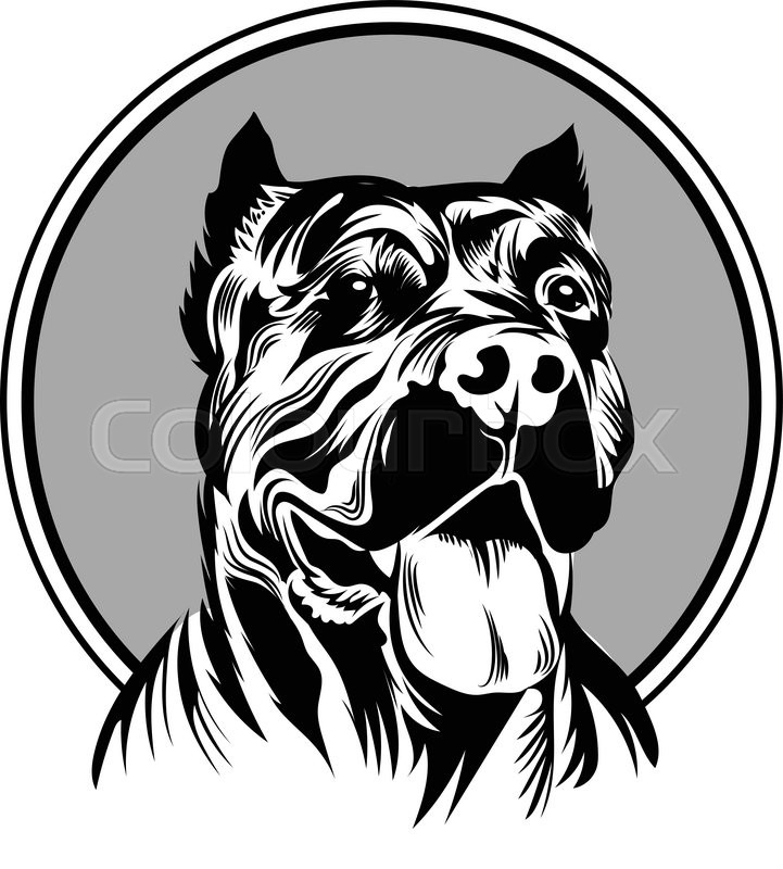 721x800 Vector Illustration Pitbull Mascot Head, On A White Background