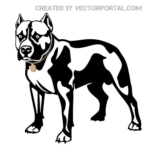 660x660 Dog Pitbull Free Vector 123freevectors