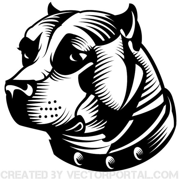 600x600 Pit Bull Dog Vector Free Vectors Ui Download