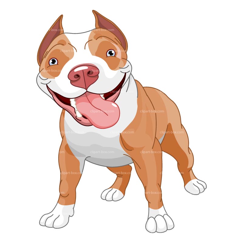 800x800 Pit Bull Clipart Graffiti