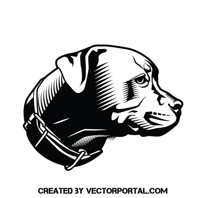 660x660 Pit Bull Terrier Vector Graphics Animal Vectors