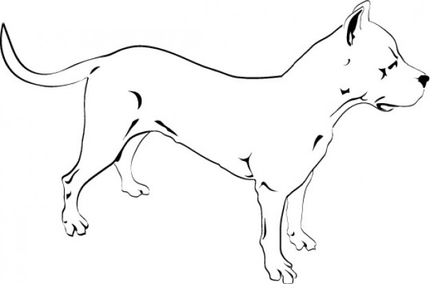 626x413 Pitbull Dog Drawing Icon Vector Vector Free Download