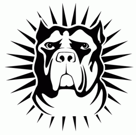 275x272 Pitbullspirit Graphix Spirit Graphix