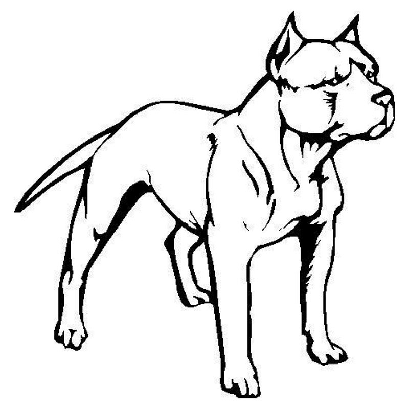 800x800 Vector Graphic Outline Of A Pitbull Clipart K16093890 Like Clip