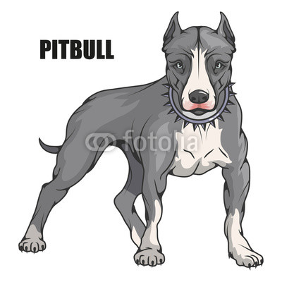 400x400 Pit Bull Terrier, American Pit Bull, Pet Logo, Dog Pitbull