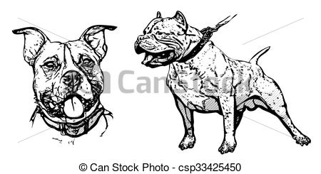 450x245 American Pitbull Terrier On White.