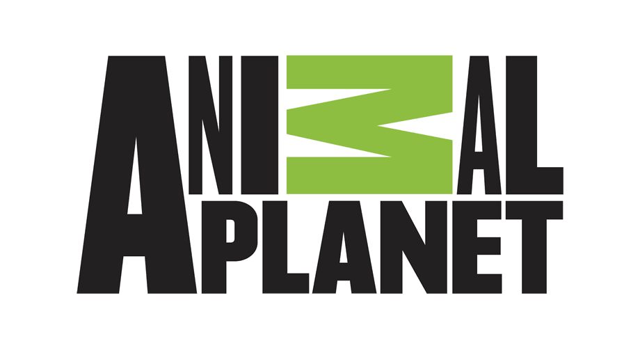 920x500 Animal Planet Logo Download