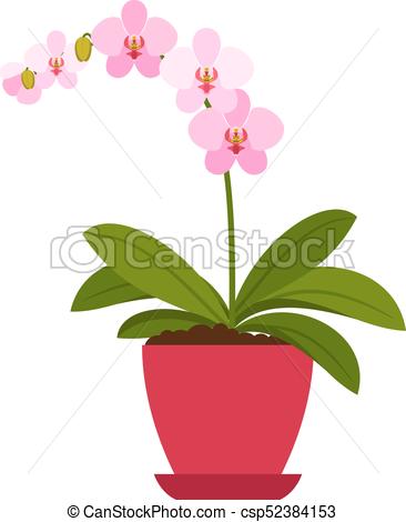 366x470 Orchid Pink House Plant In Flower Pot, Vector Icon On White