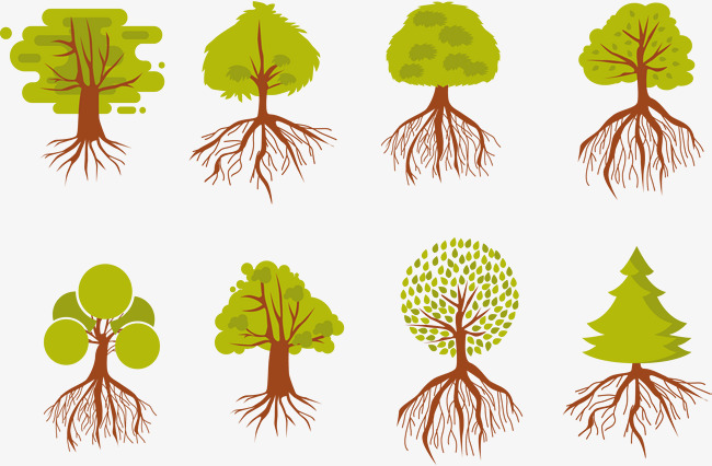 650x426 Introduction To Plant Roots, Vector Material, Biology, Plant Roots