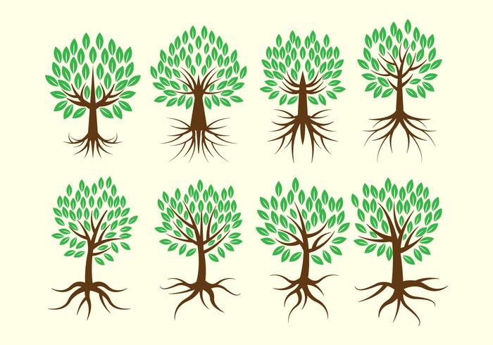 700x490 Plant Roots Free Vector Art