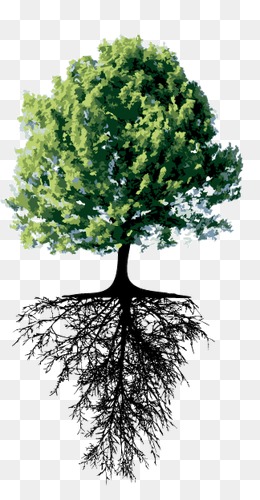 260x500 Roots Vector Png Images Vectors And Psd Files Free Download On