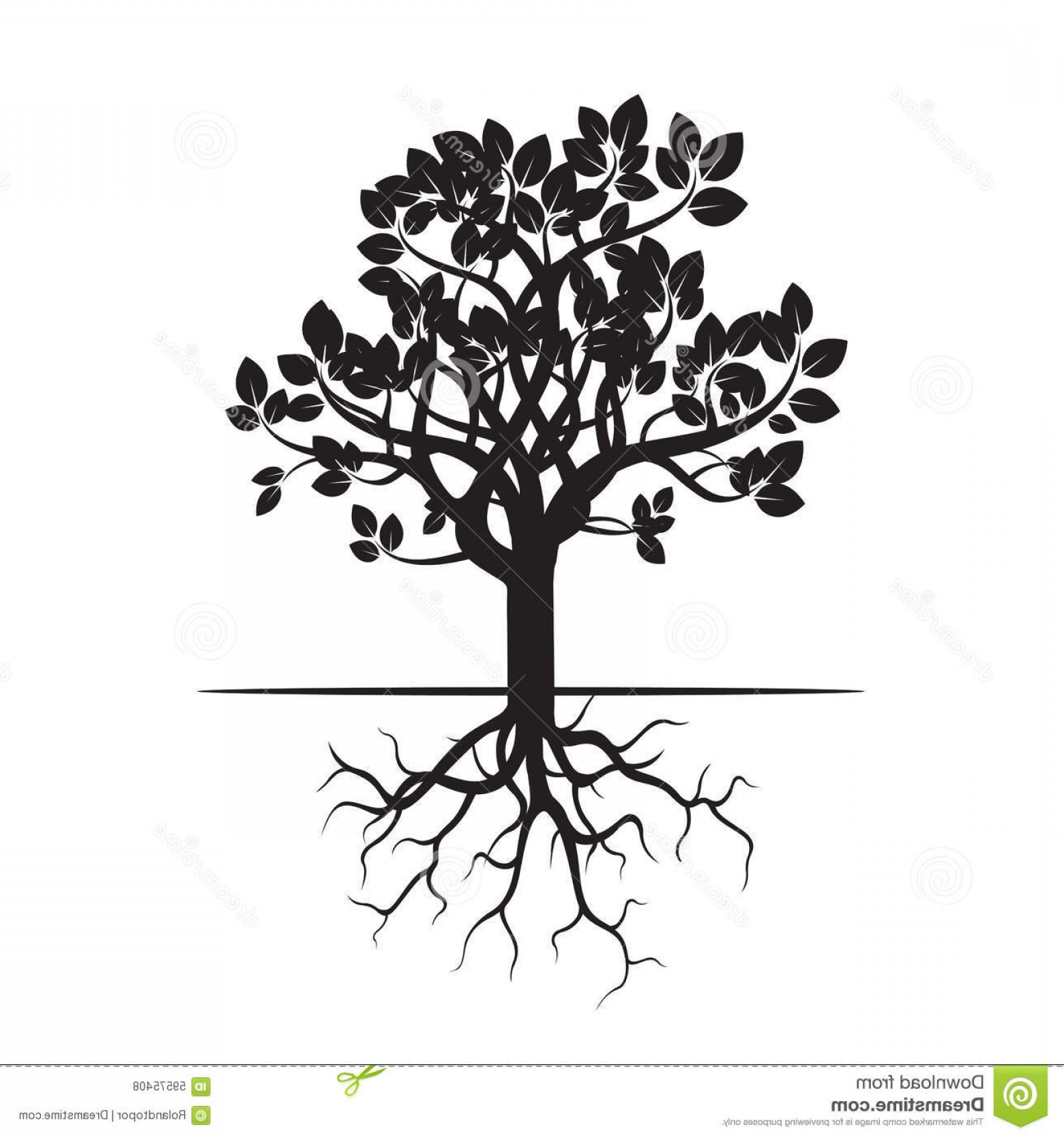 Plant Roots Vector at GetDrawings | Free download