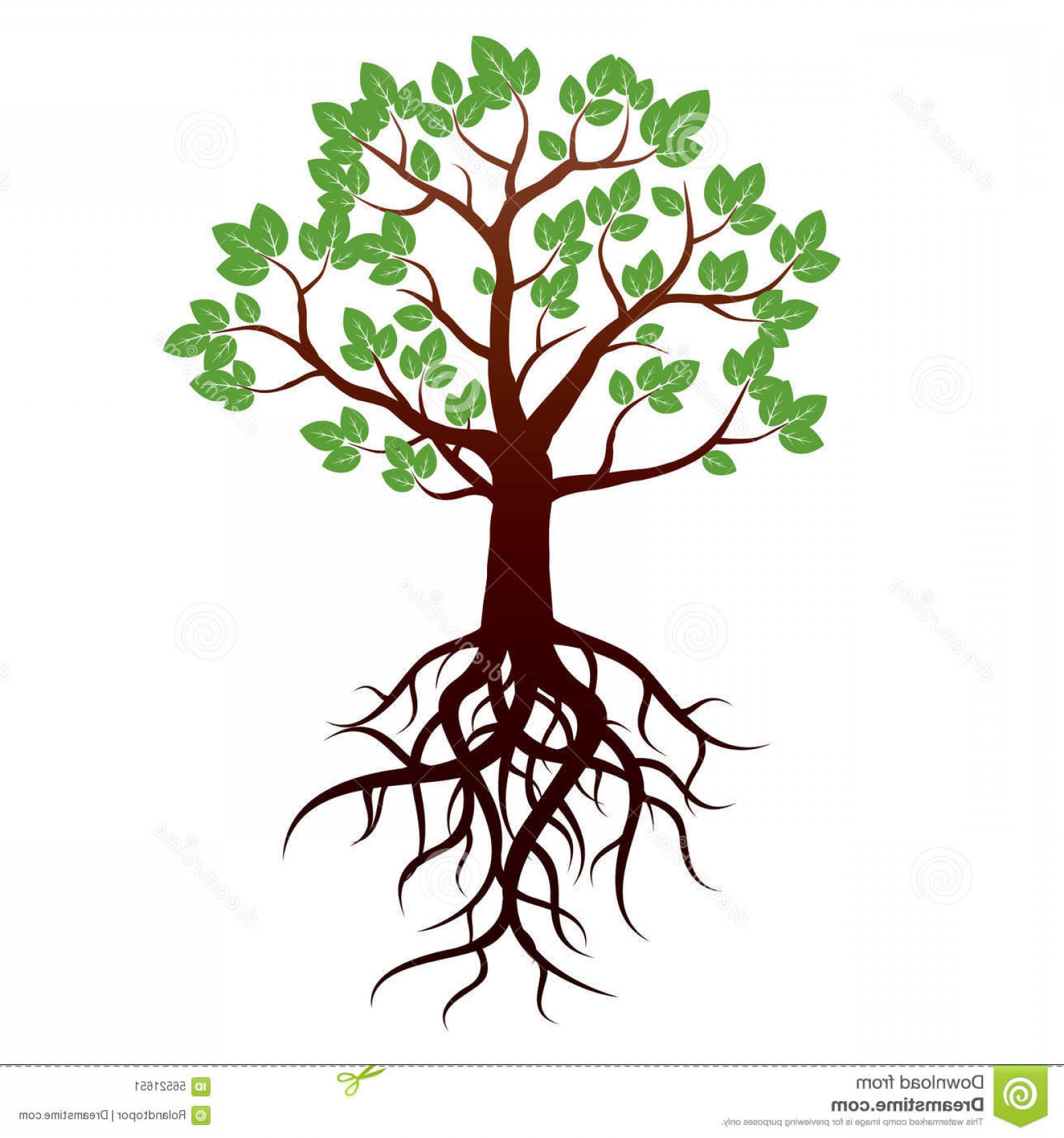 1560x1668 Stock Illustration Tree Roots Vector Illustration Color Leafs
