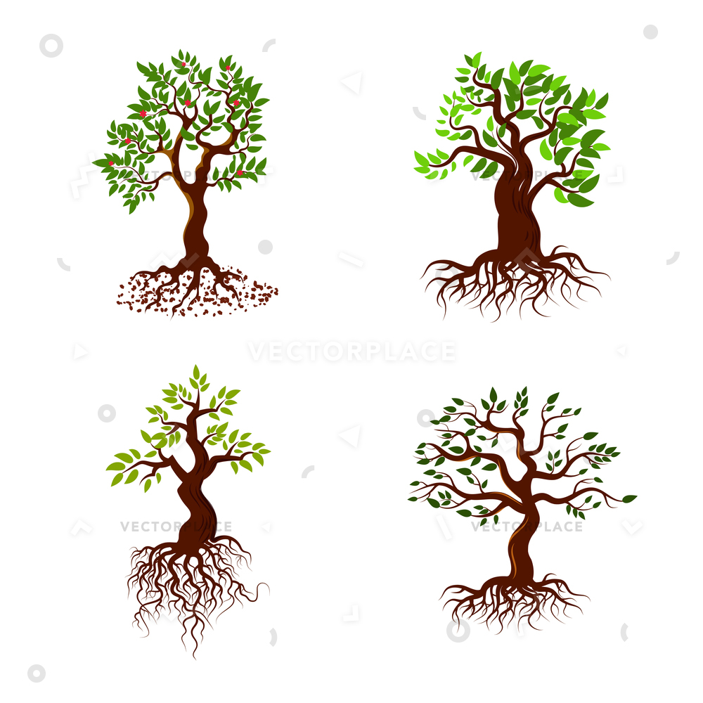1000x1000 Trees Green Leaves Roots Tree Planting Vector Illustration 11794