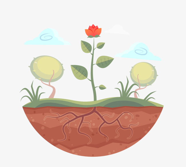 650x585 Vector Material Of Plant Roots, Plant Vector, Roots Vector, Vector