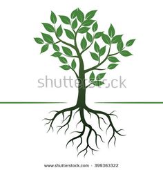 236x246 Tree Roots Logo Plant Roots Stock Images, Royalty Free Images