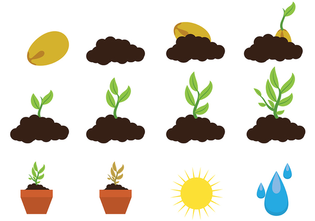632x443 Grow Up Plant Icon Vector Free Vector Download 380261 Cannypic