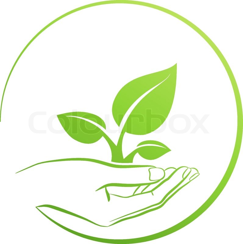 797x800 Hand Holding Plant, Logo Growth Concept Vector Illustration
