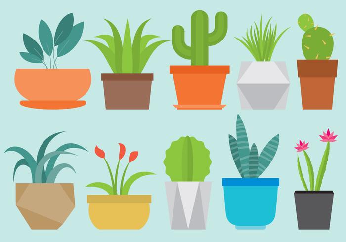 700x490 Plant Free Vector Art